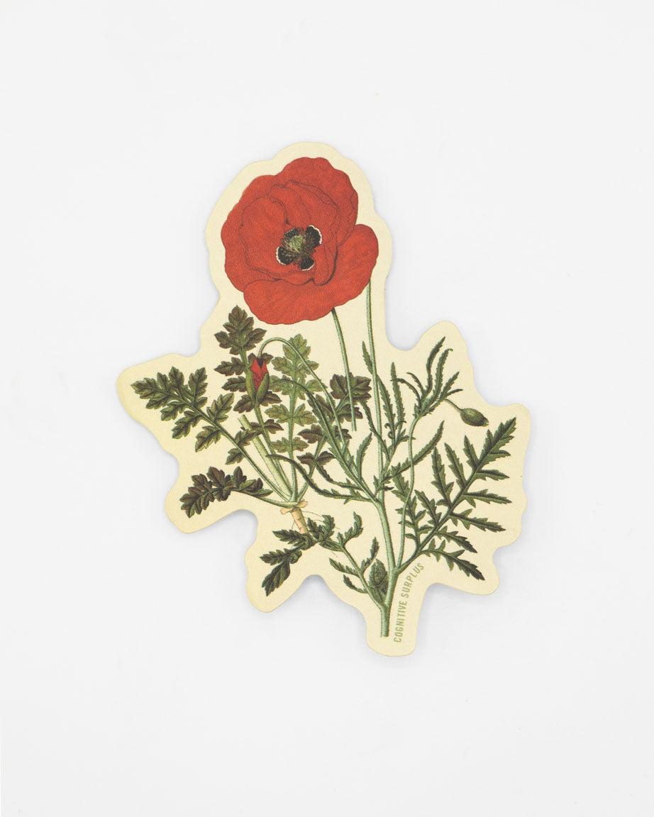 Poppy Flower Sticker