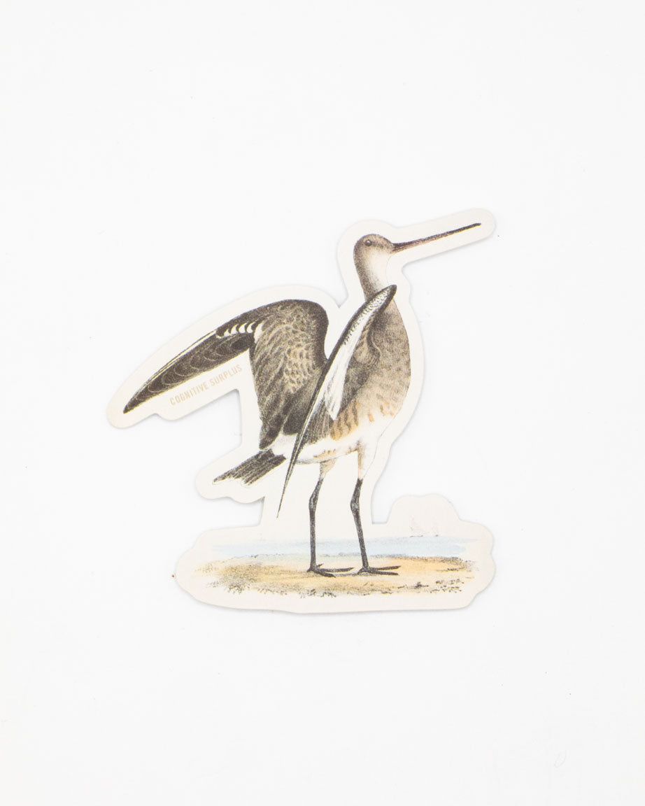 Marbled Godwit Sticker