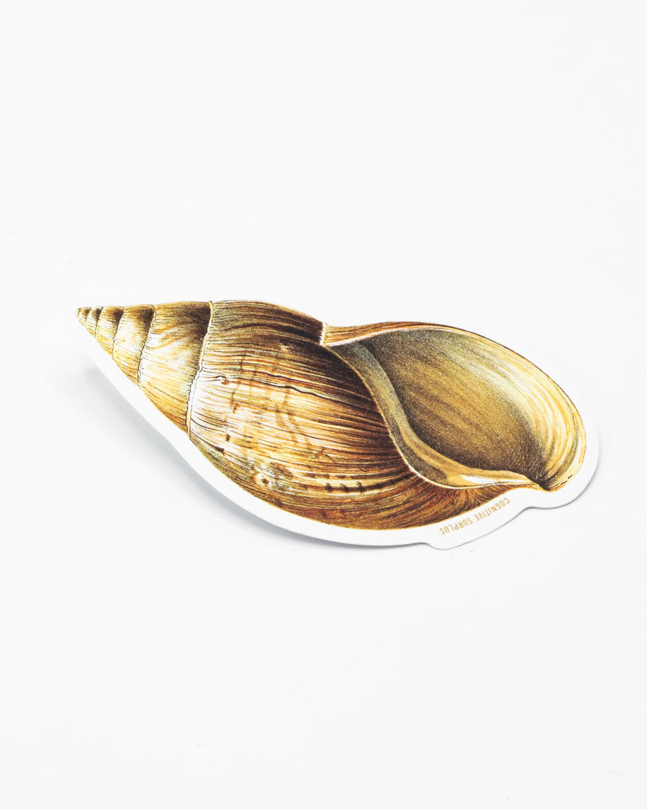 Sea Shell Sticker