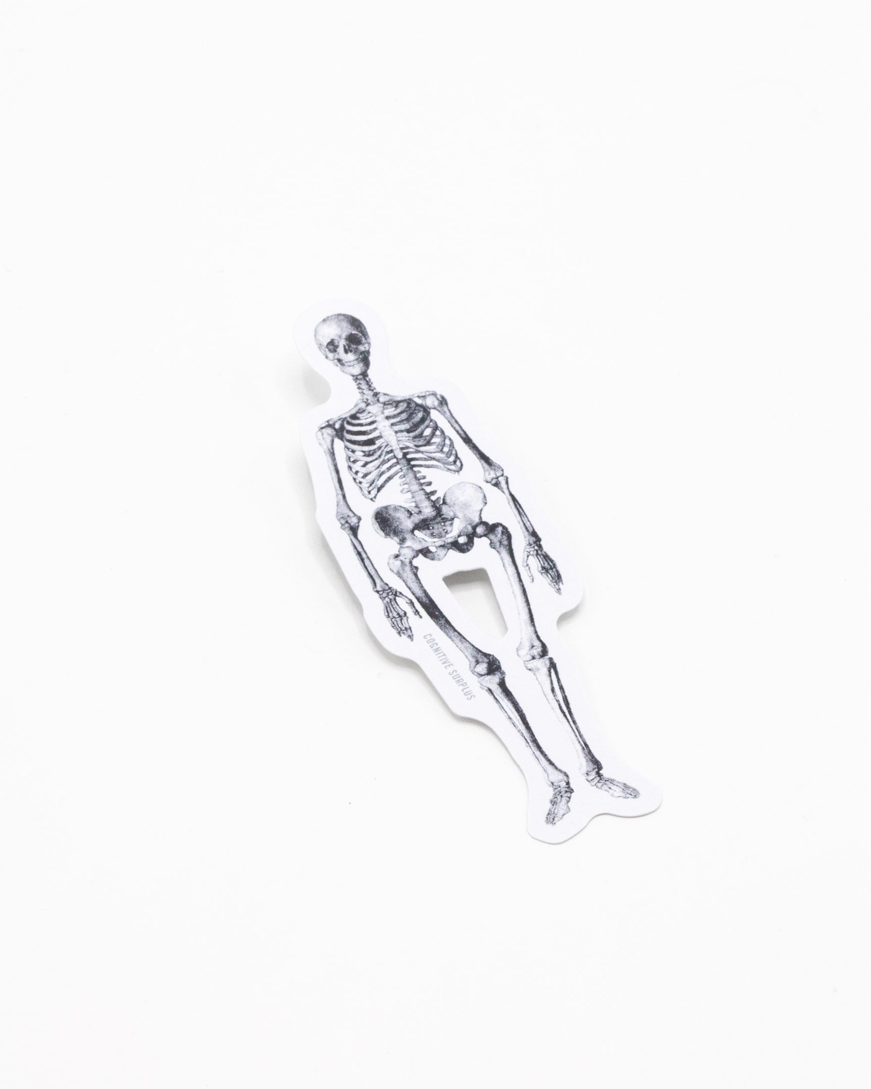 Skeleton Sticker