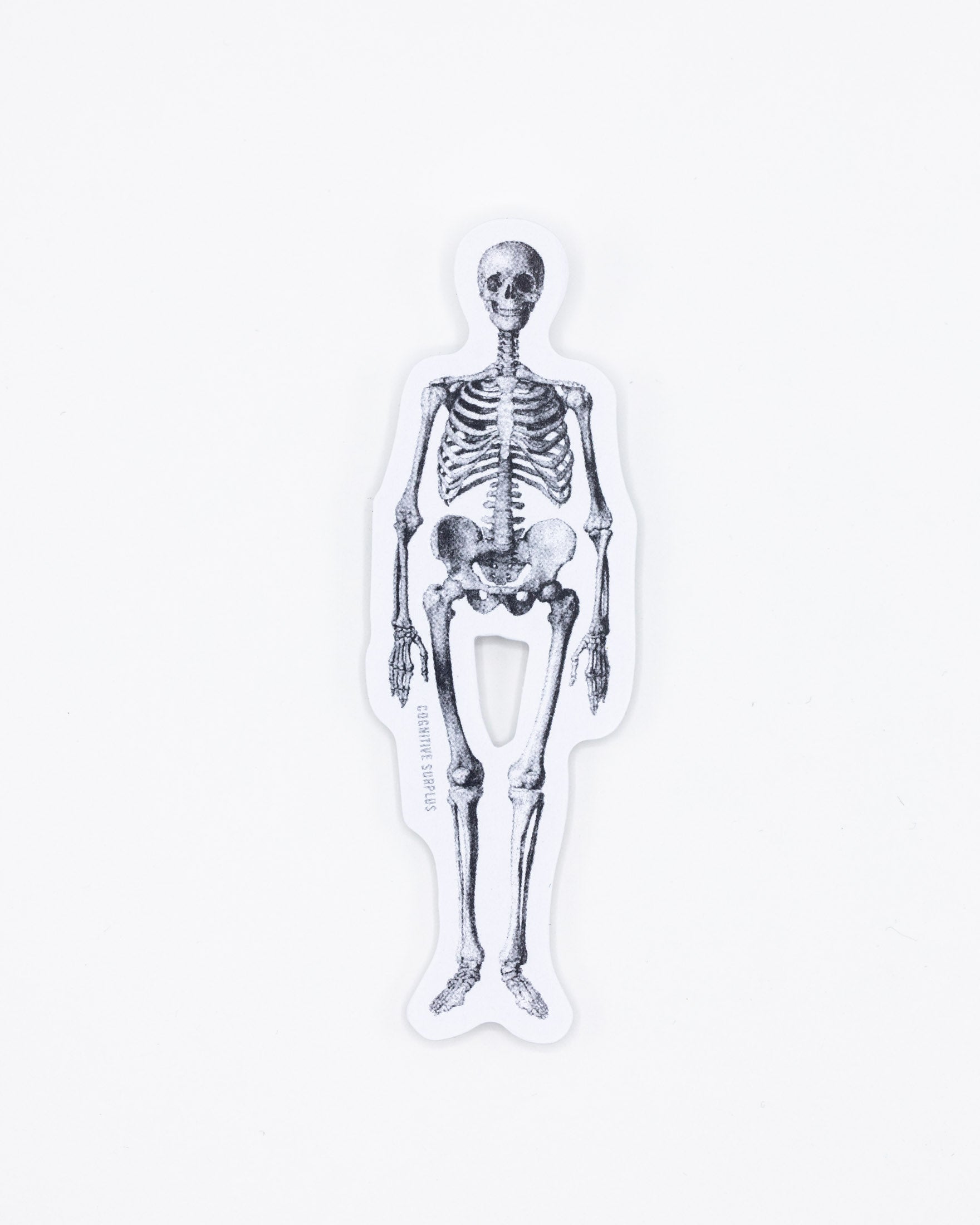 Skeleton Sticker