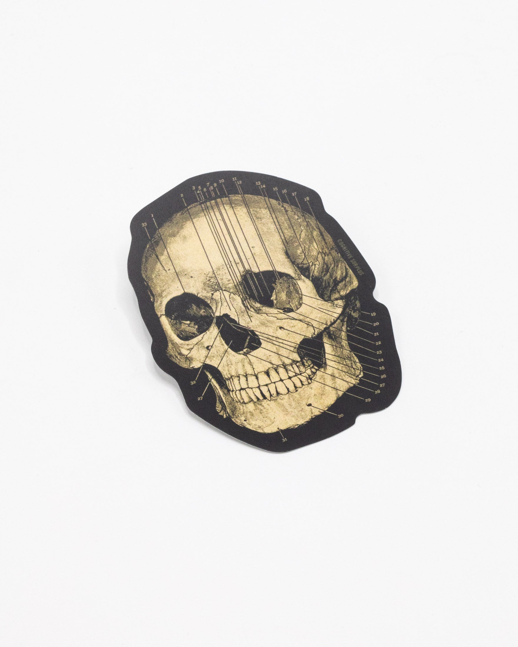 Skull Sticker