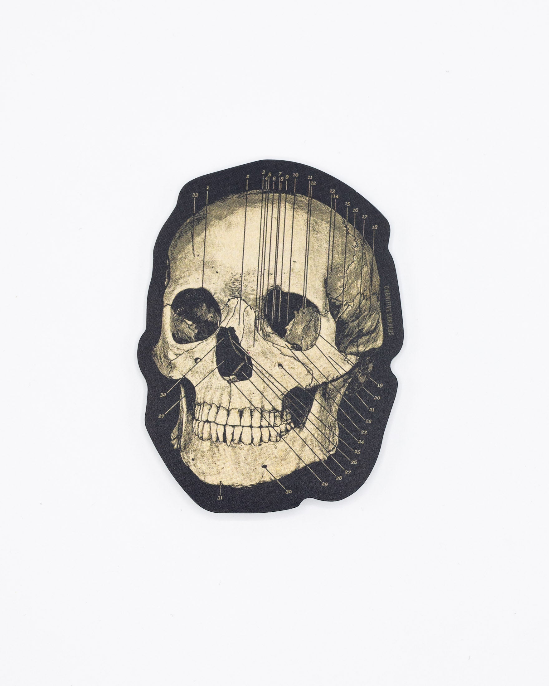 Skull Sticker