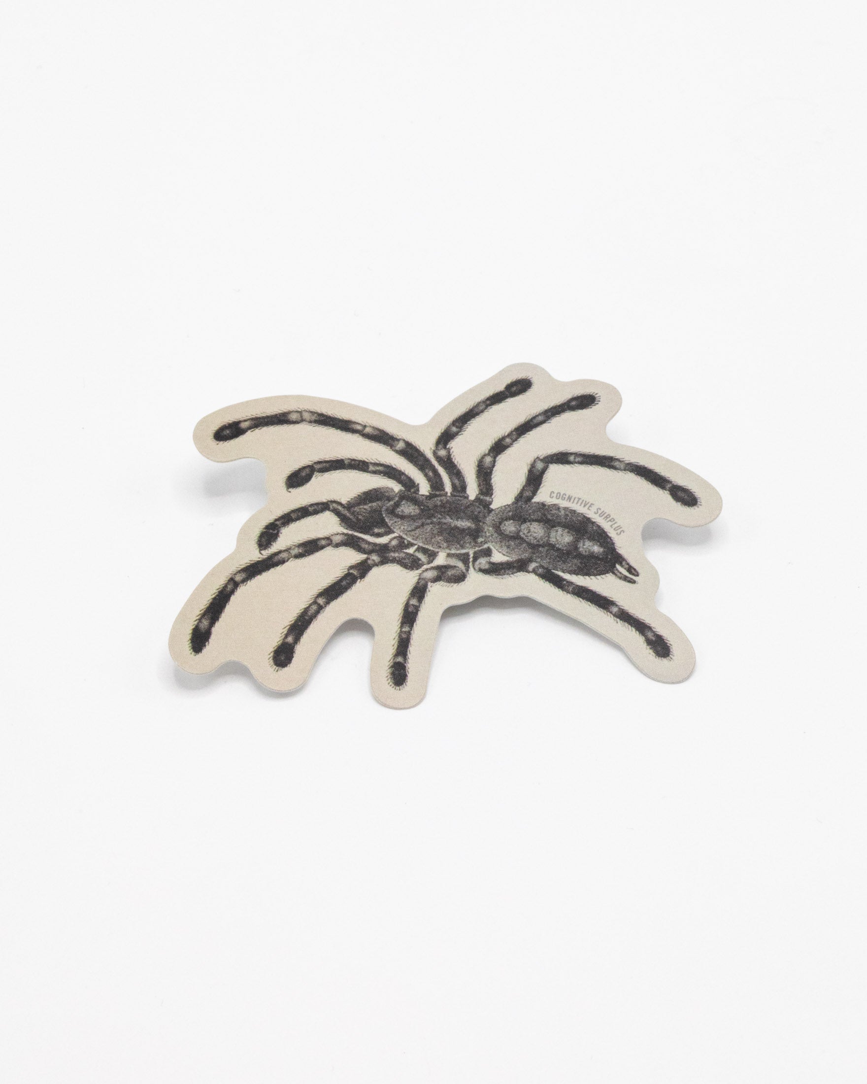 Tarantula Spider Sticker