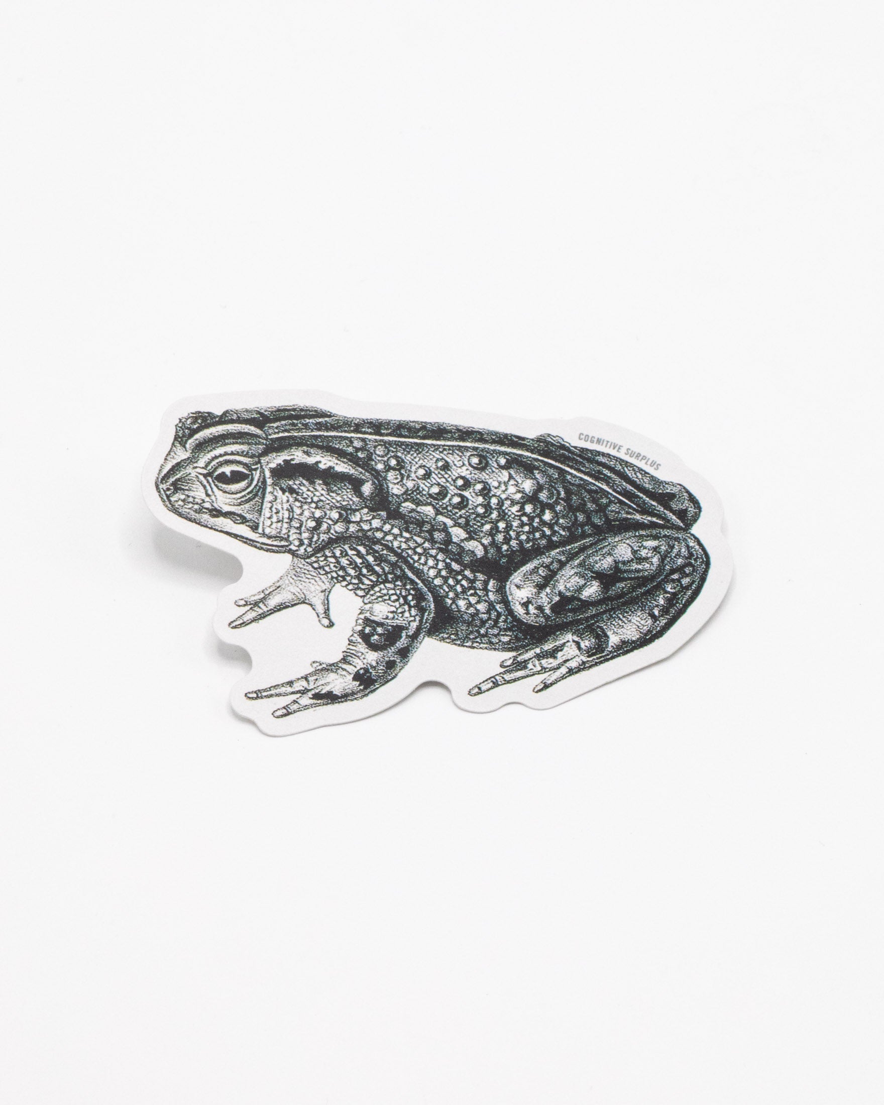 Bocourt's Toad Sticker