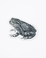 Bocourt's Toad Sticker