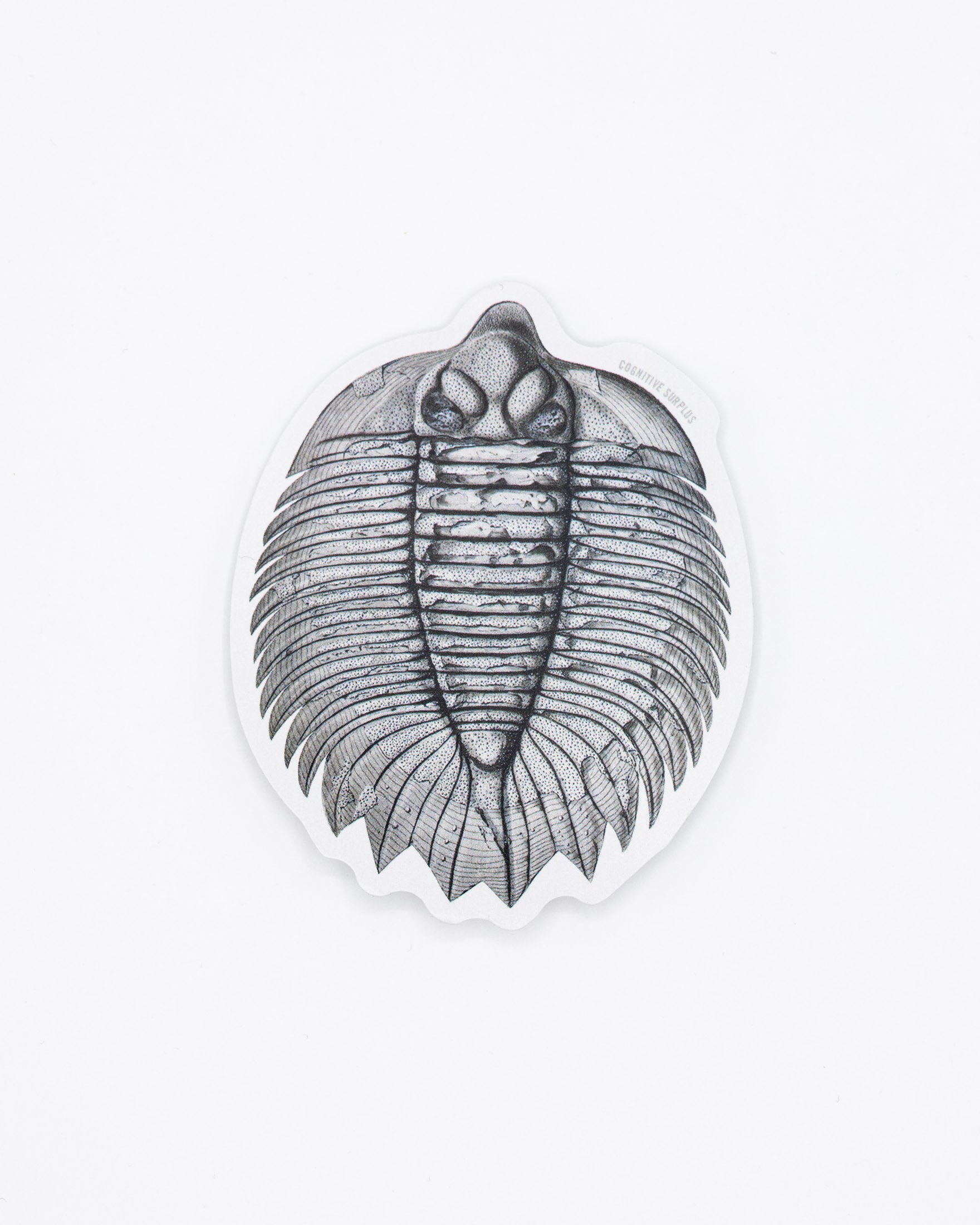 Trilobite Fossil Sticker