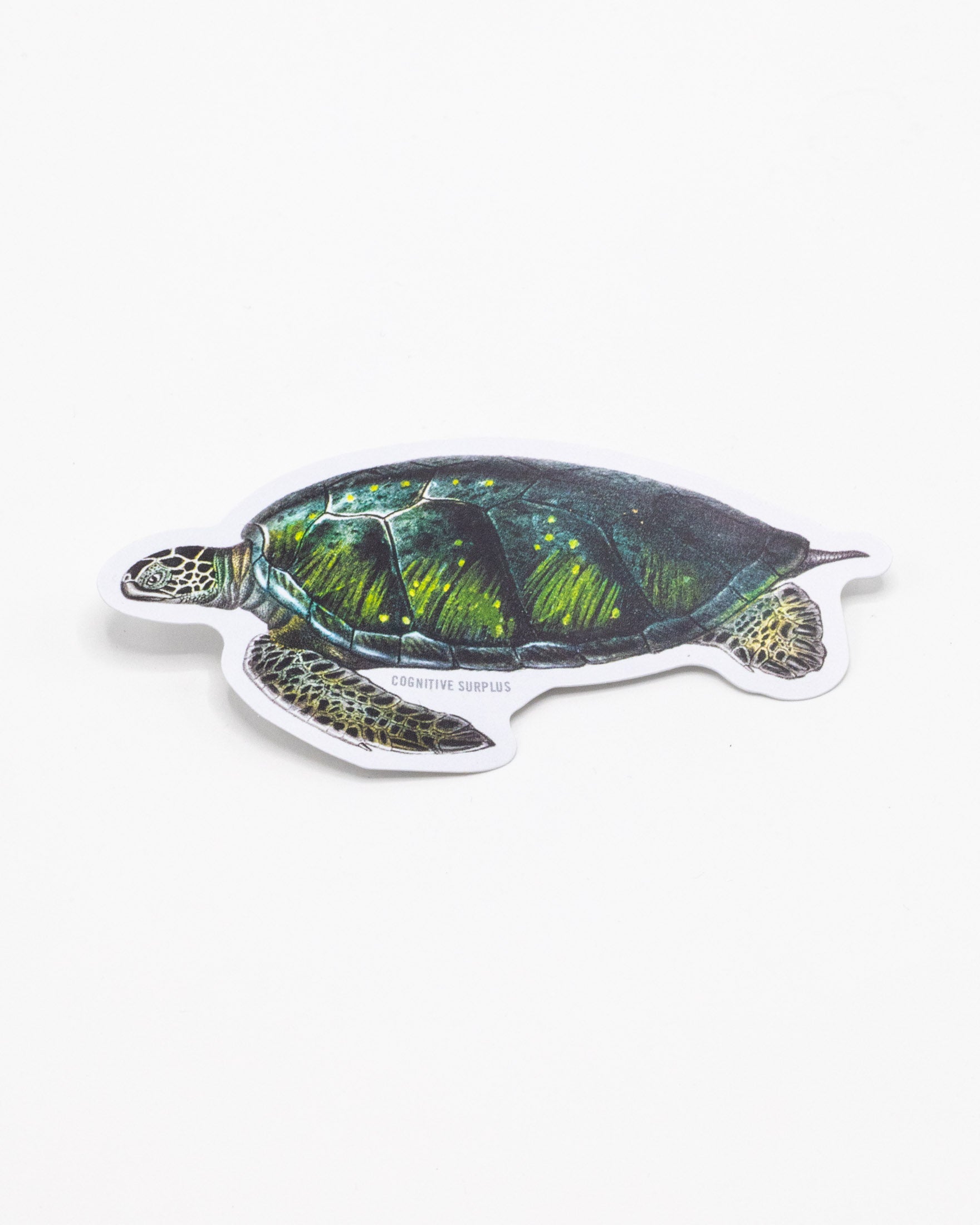 Green Sea Turtle Sticker