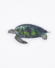 Green Sea Turtle Sticker