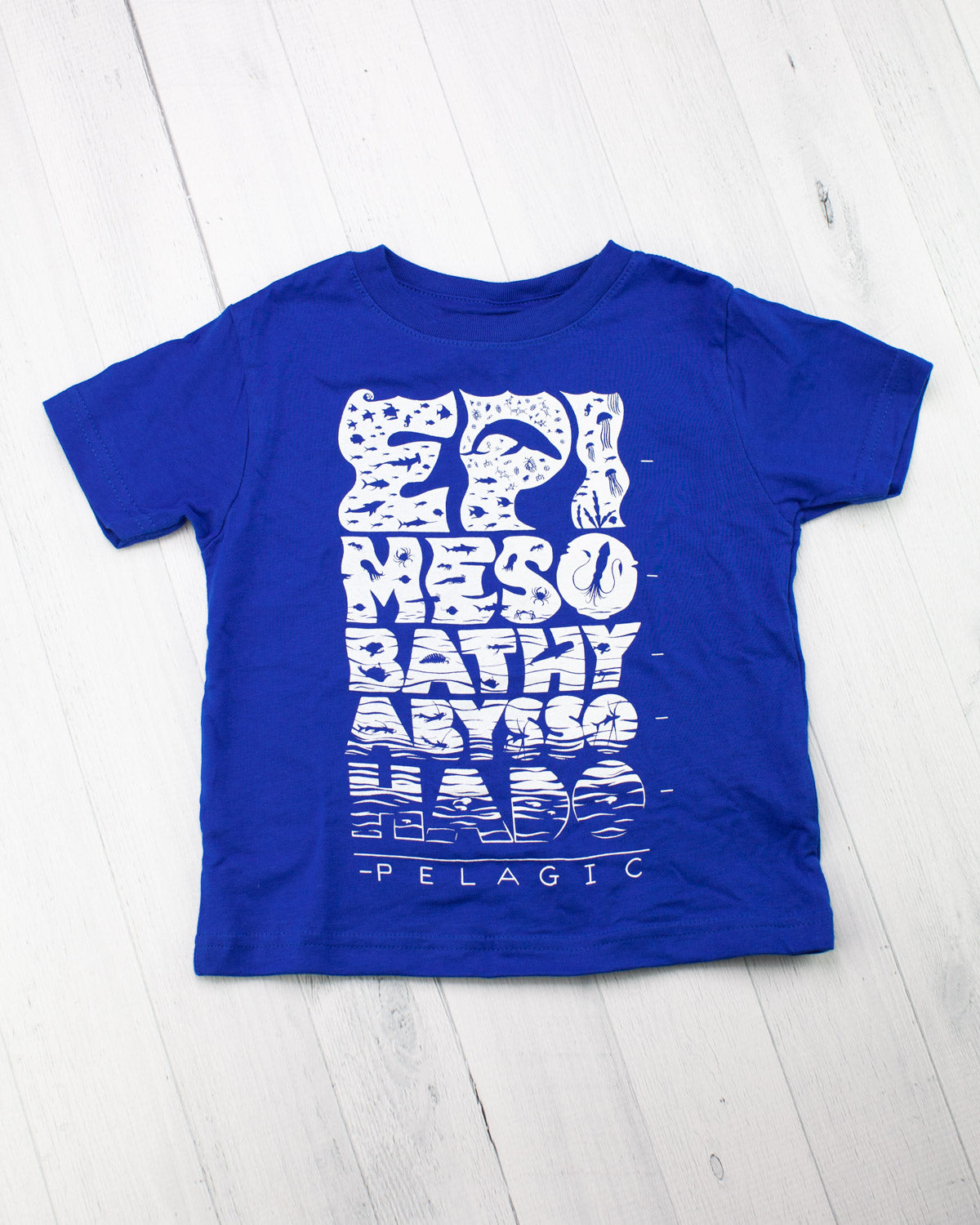 Ocean Levels Toddler Tee Shirt