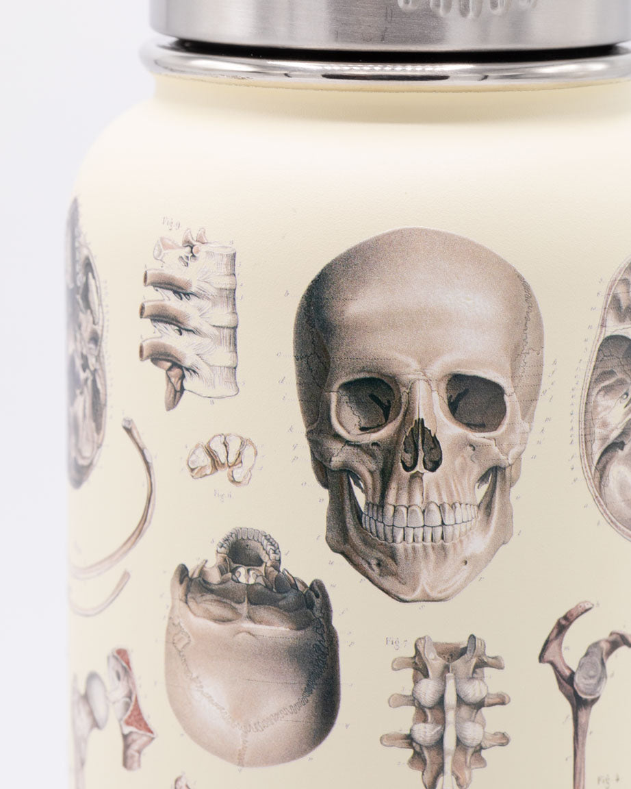 Skeleton 32 oz Steel Bottle