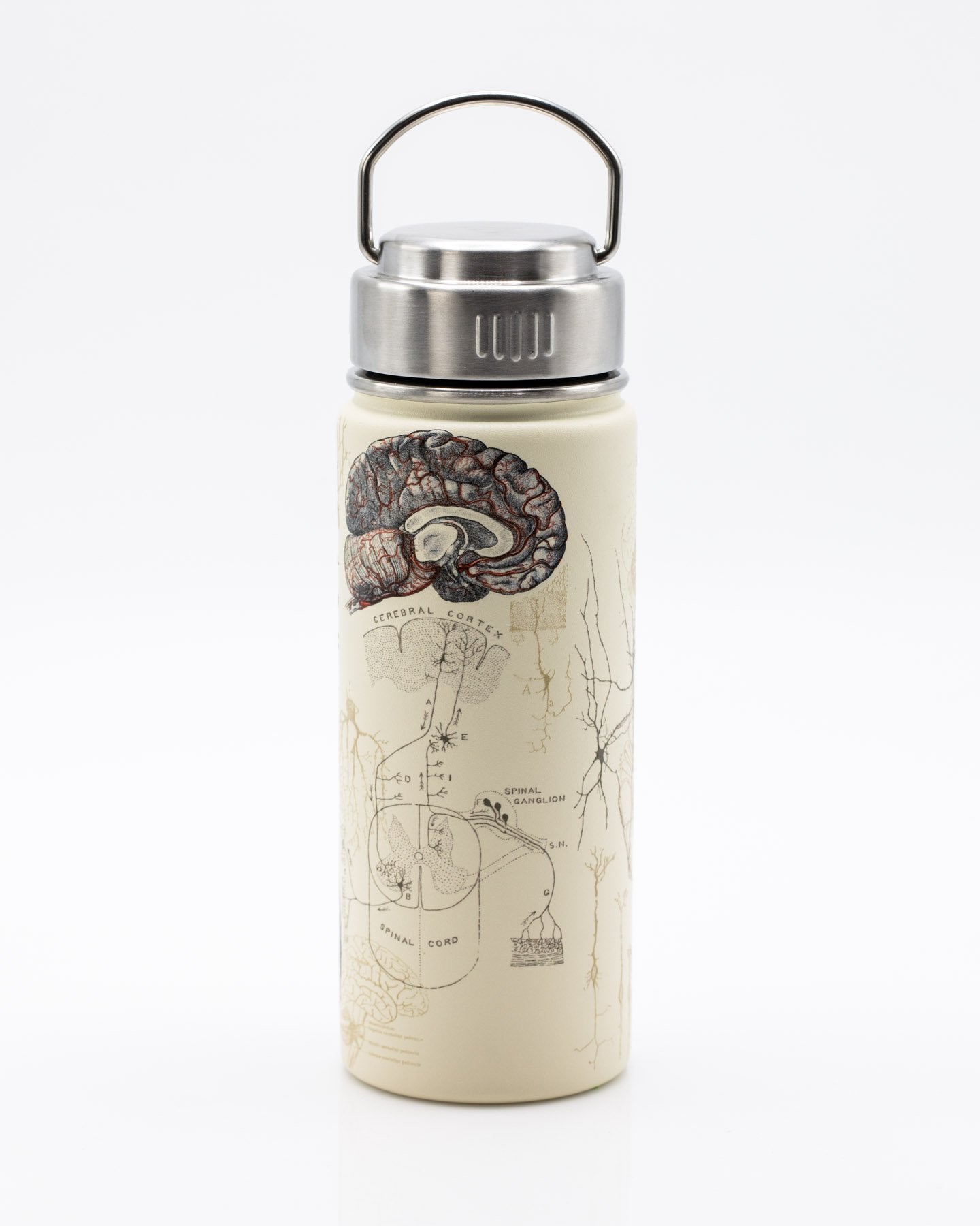 Brain & Neuroscience 18 oz Steel Bottle