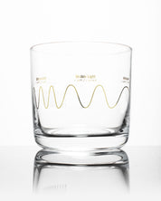 Electromagnetic Spectrum Whiskey Glass