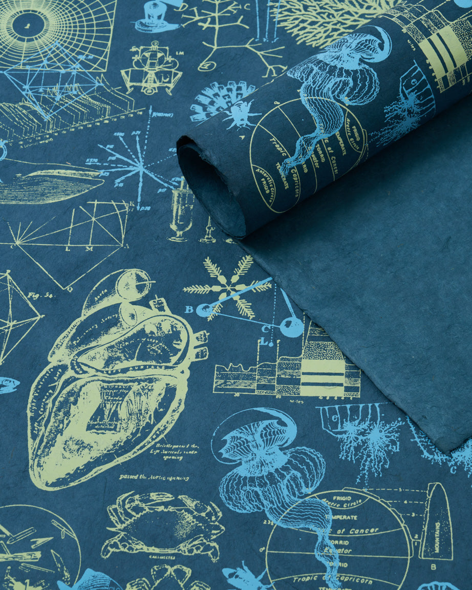 Interdisciplinary Science Wrapping Paper